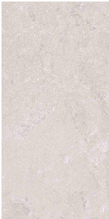 OL Port Land Stone Greige Matte 12 x 24
